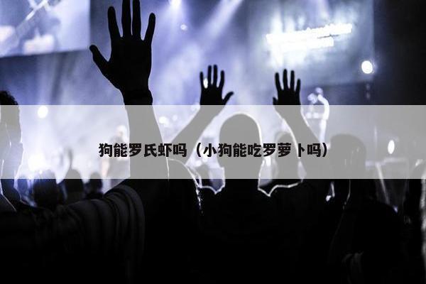 狗能罗氏虾吗（小狗能吃罗萝卜吗）