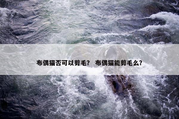 布偶猫否可以剪毛？ 布偶猫能剪毛么？