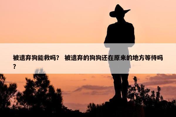 被遗弃狗能救吗？ 被遗弃的狗狗还在原来的地方等待吗？
