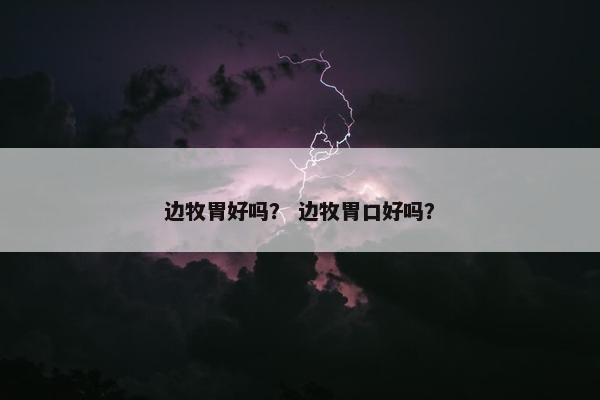边牧胃好吗？ 边牧胃口好吗？