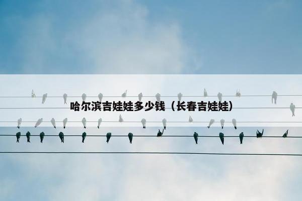 哈尔滨吉娃娃多少钱（长春吉娃娃）
