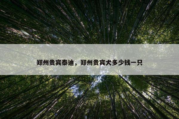 郑州贵宾泰迪，郑州贵宾犬多少钱一只