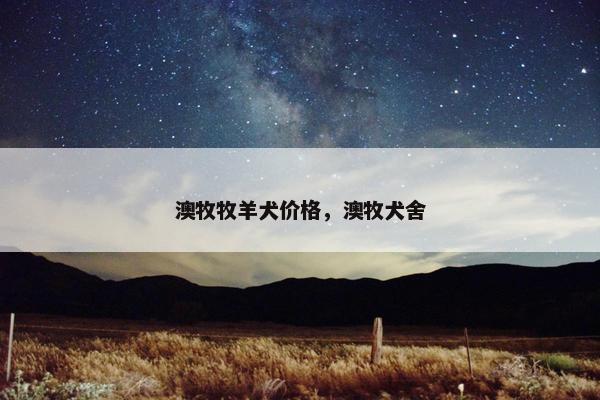 澳牧牧羊犬价格，澳牧犬舍