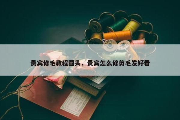 贵宾修毛教程圆头，贵宾怎么修剪毛发好看