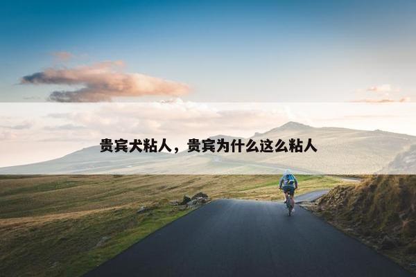 贵宾犬粘人，贵宾为什么这么粘人