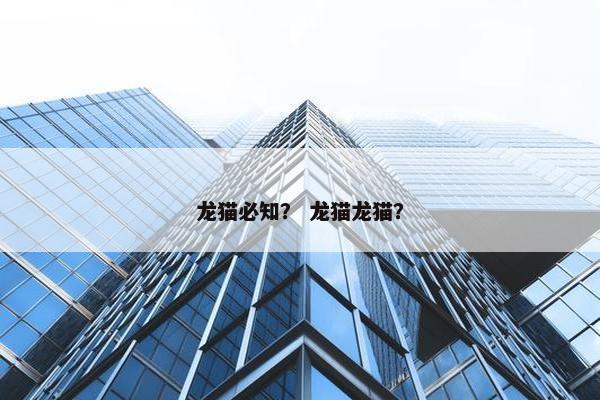 龙猫必知？ 龙猫龙猫？