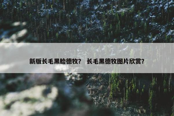 新版长毛黑脸德牧？ 长毛黑德牧图片欣赏？