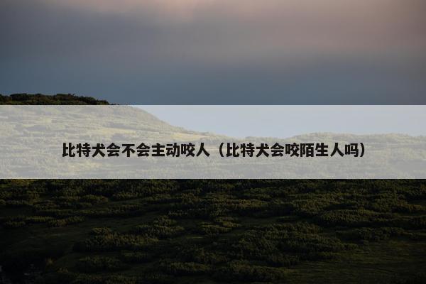 比特犬会不会主动咬人（比特犬会咬陌生人吗）