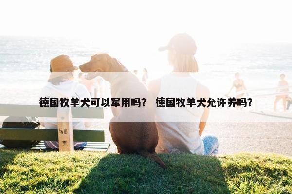德国牧羊犬可以军用吗？ 德国牧羊犬允许养吗？