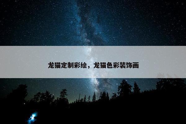 龙猫定制彩绘，龙猫色彩装饰画