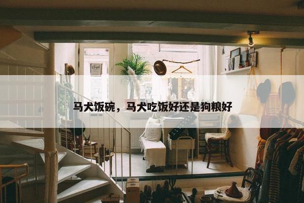 马犬饭碗，马犬吃饭好还是狗粮好