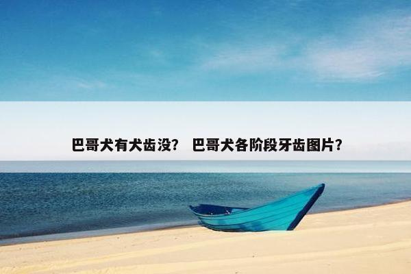 巴哥犬有犬齿没？ 巴哥犬各阶段牙齿图片？