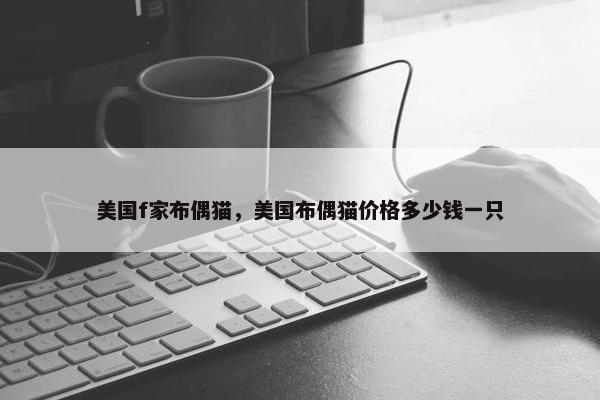 美国f家布偶猫，美国布偶猫价格多少钱一只