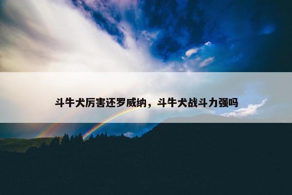 斗牛犬厉害还罗威纳，斗牛犬战斗力强吗