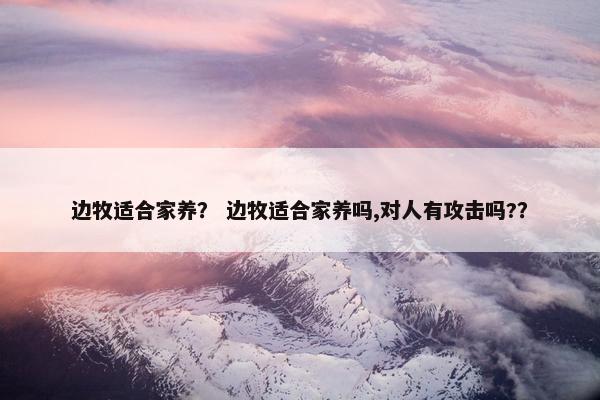 边牧适合家养？ 边牧适合家养吗,对人有攻击吗?？