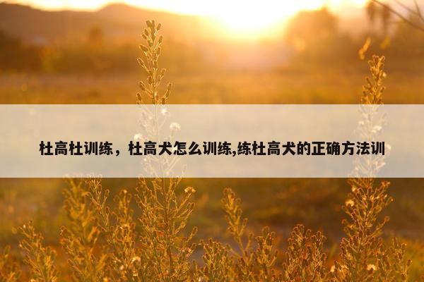 杜高杜训练，杜高犬怎么训练,练杜高犬的正确方法训