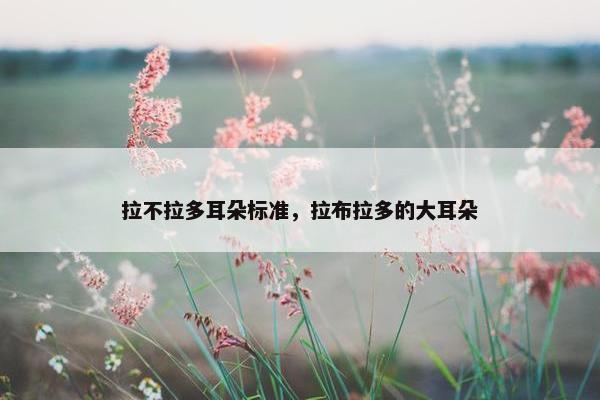 拉不拉多耳朵标准，拉布拉多的大耳朵