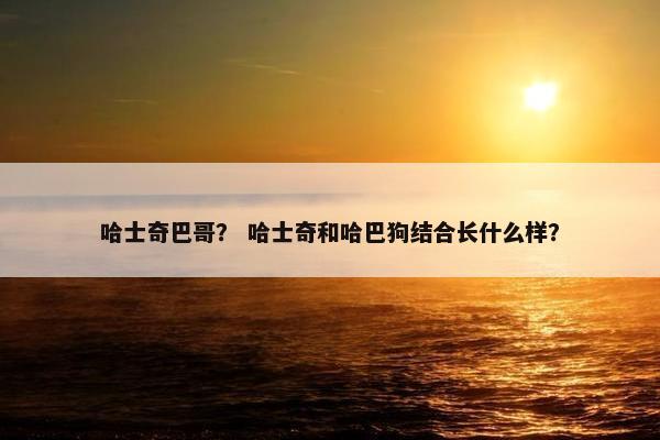 哈士奇巴哥？ 哈士奇和哈巴狗结合长什么样？