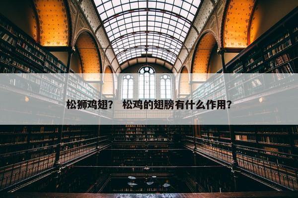 松狮鸡翅？ 松鸡的翅膀有什么作用？