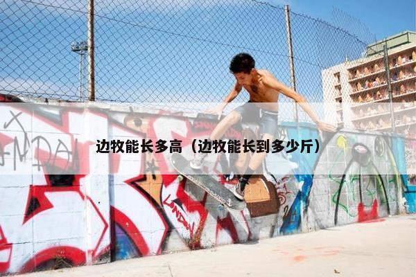 边牧能长多高（边牧能长到多少斤）