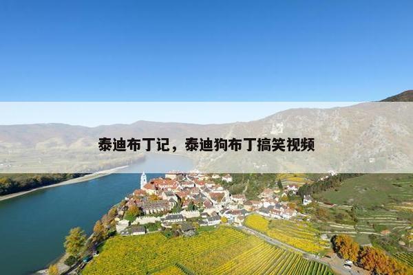 泰迪布丁记，泰迪狗布丁搞笑视频