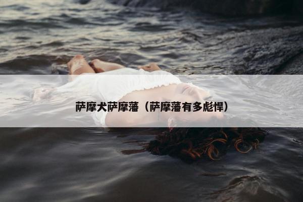 萨摩犬萨摩藩（萨摩藩有多彪悍）