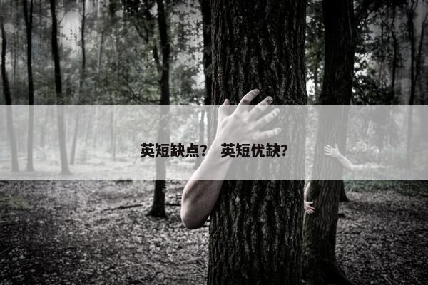英短缺点？ 英短优缺？