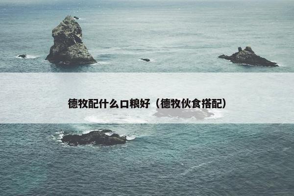 德牧配什么口粮好（德牧伙食搭配）