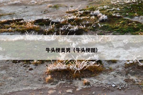 牛头梗美男（牛头梗图）
