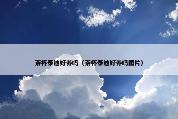 茶杯泰迪好养吗（茶杯泰迪好养吗图片）