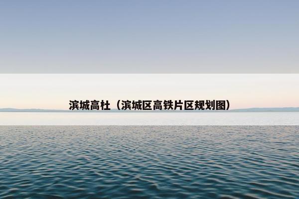 滨城高杜（滨城区高铁片区规划图）