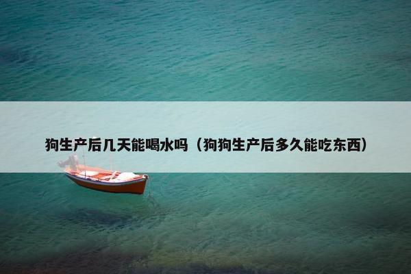 狗生产后几天能喝水吗（狗狗生产后多久能吃东西）