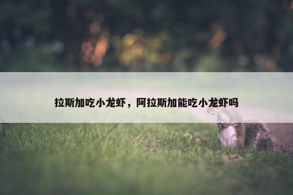 拉斯加吃小龙虾，阿拉斯加能吃小龙虾吗