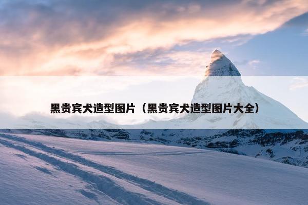 黑贵宾犬造型图片（黑贵宾犬造型图片大全）