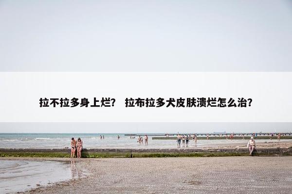 拉不拉多身上烂？ 拉布拉多犬皮肤溃烂怎么治？