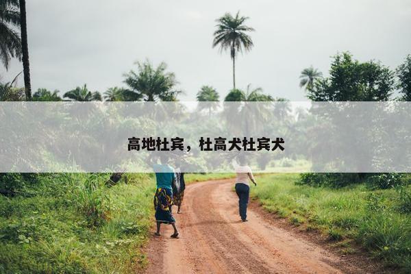 高地杜宾，杜高犬杜宾犬