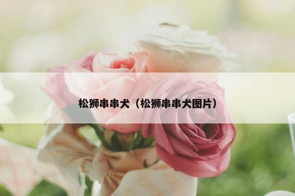 松狮串串犬（松狮串串犬图片）