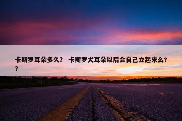 卡斯罗耳朵多久？ 卡斯罗犬耳朵以后会自己立起来么?？