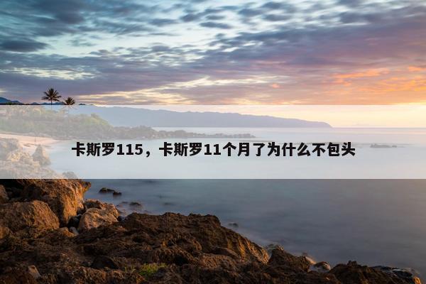 卡斯罗115，卡斯罗11个月了为什么不包头