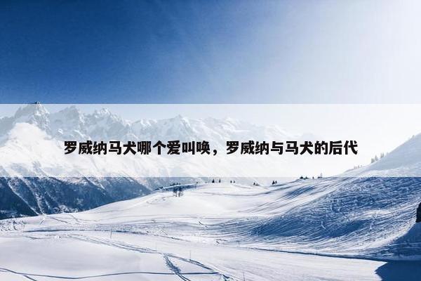 罗威纳马犬哪个爱叫唤，罗威纳与马犬的后代