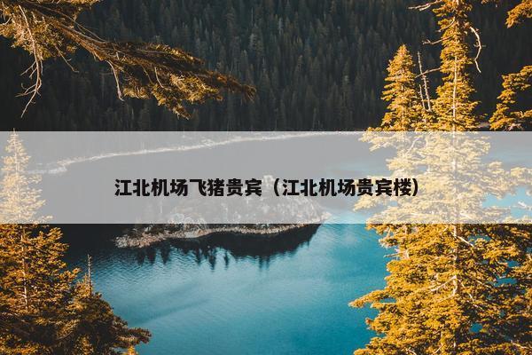 江北机场飞猪贵宾（江北机场贵宾楼）