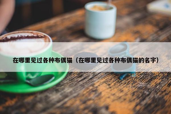 在哪里见过各种布偶猫（在哪里见过各种布偶猫的名字）