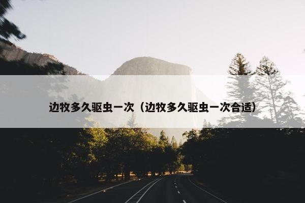 边牧多久驱虫一次（边牧多久驱虫一次合适）