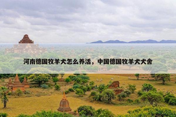 河南德国牧羊犬怎么养活，中国德国牧羊犬犬舍