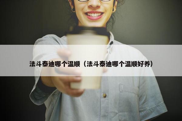 法斗泰迪哪个温顺（法斗泰迪哪个温顺好养）