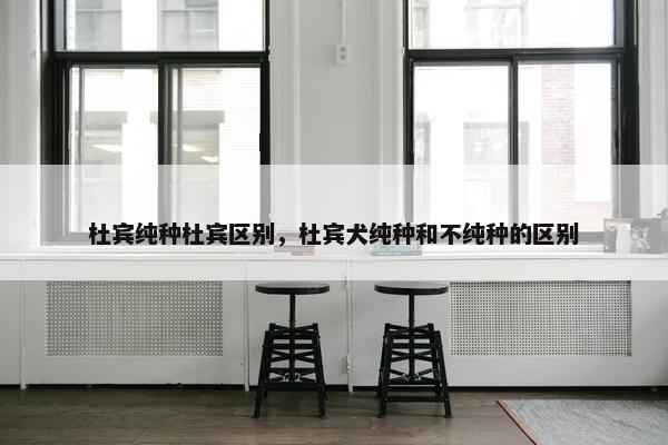 杜宾纯种杜宾区别，杜宾犬纯种和不纯种的区别