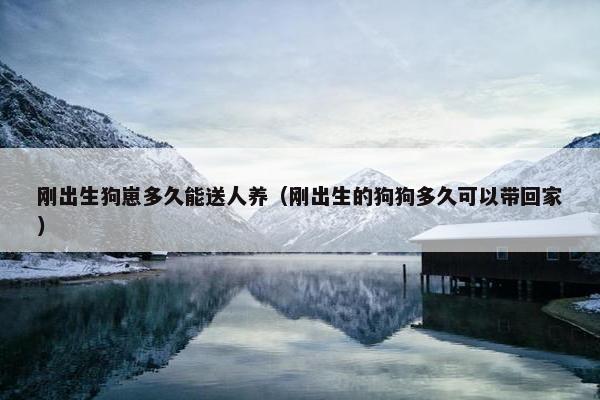 刚出生狗崽多久能送人养（刚出生的狗狗多久可以带回家）