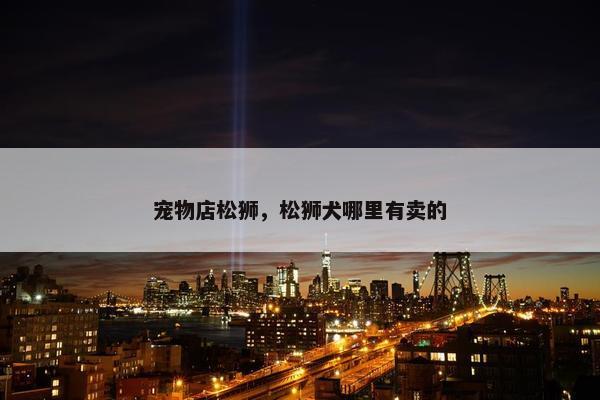 宠物店松狮，松狮犬哪里有卖的