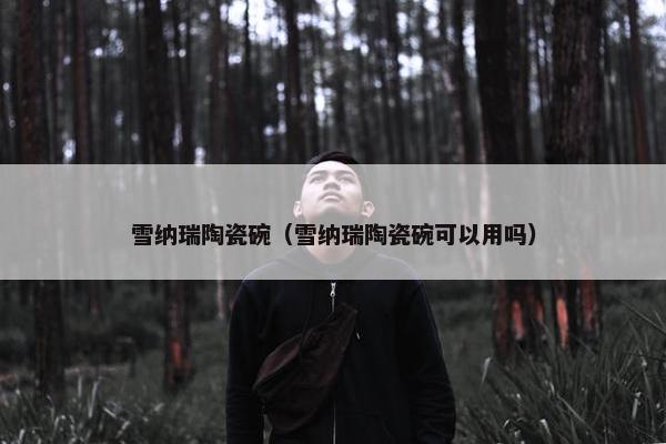 雪纳瑞陶瓷碗（雪纳瑞陶瓷碗可以用吗）