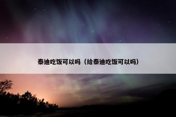 泰迪吃饭可以吗（给泰迪吃饭可以吗）